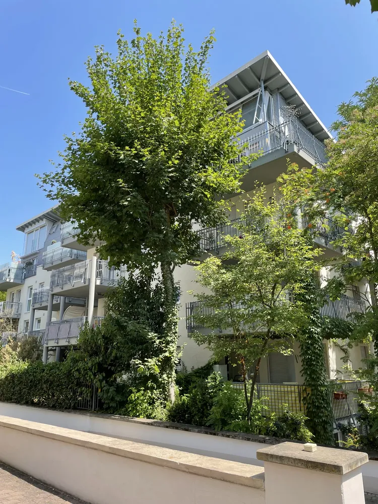 2 Zimmer Wohnung mit 45 m² in Wiesbaden – Bild 2