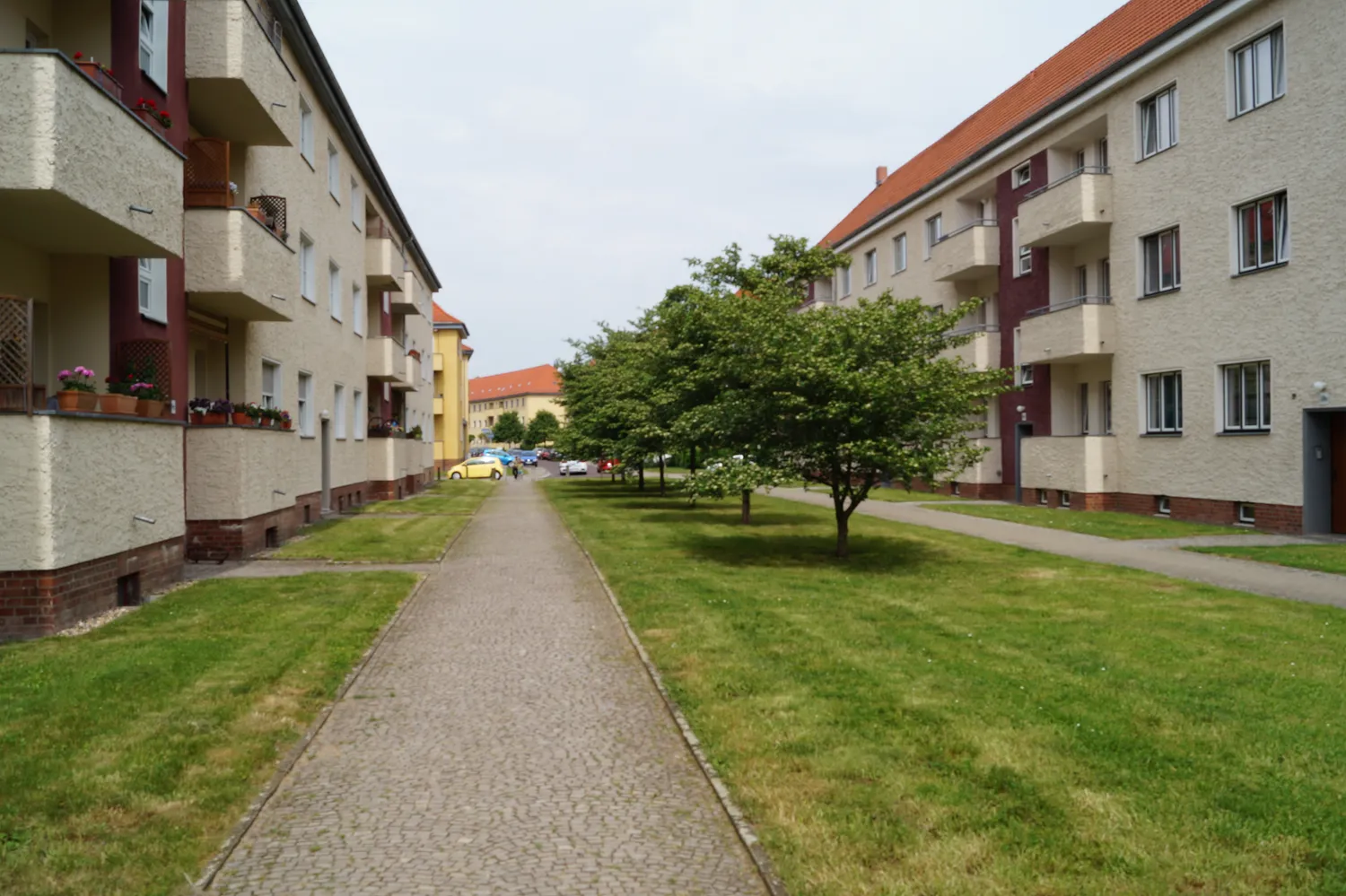 3 room apartment with 75 m² in Magdeburg – Photo 6