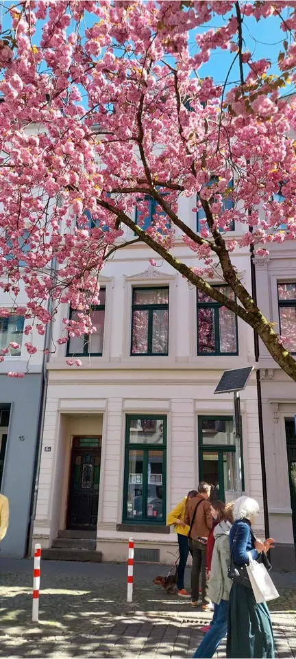 2 Zimmer Wohnung mit 40 m² in Bonn – Bild 8