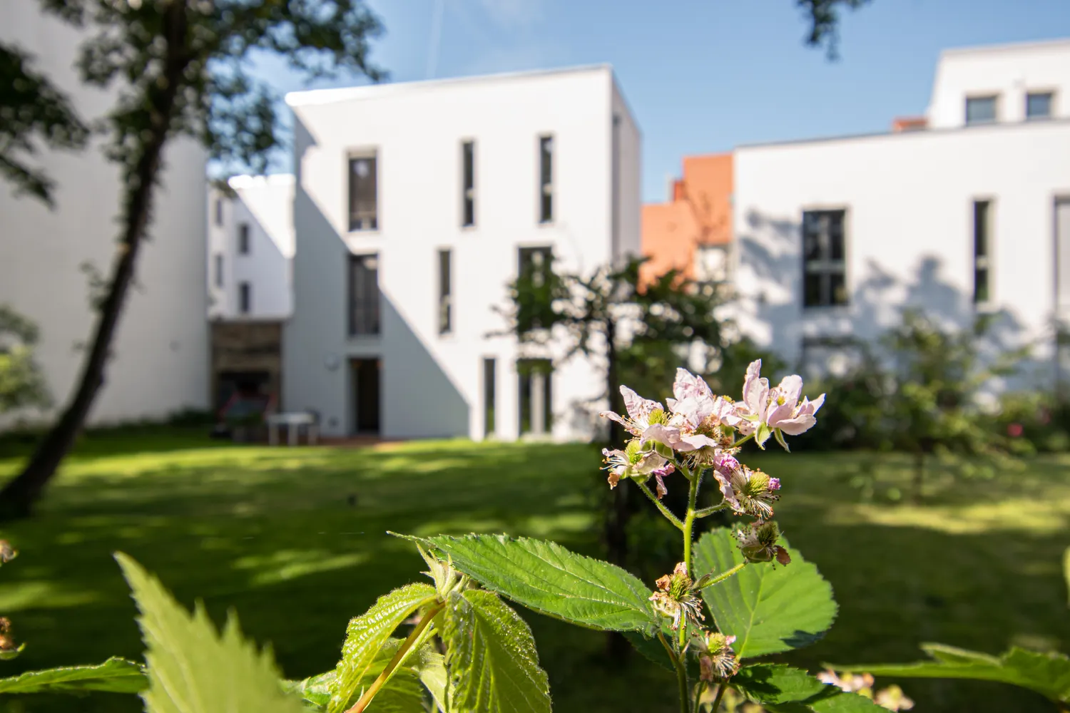 3 Zimmer Wohnung mit 135 m² in Halle (Saale) – Bild 2