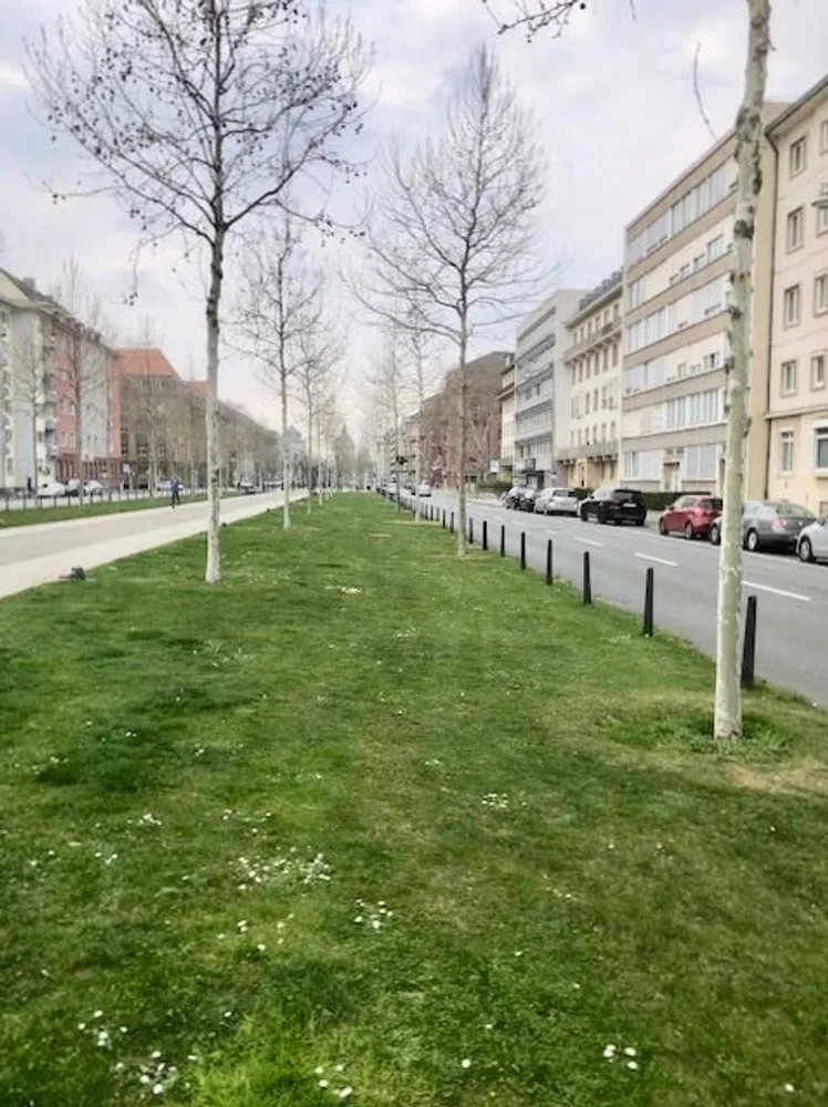 2 Zimmer Wohnung mit 65 m² in Mannheim – Bild 9