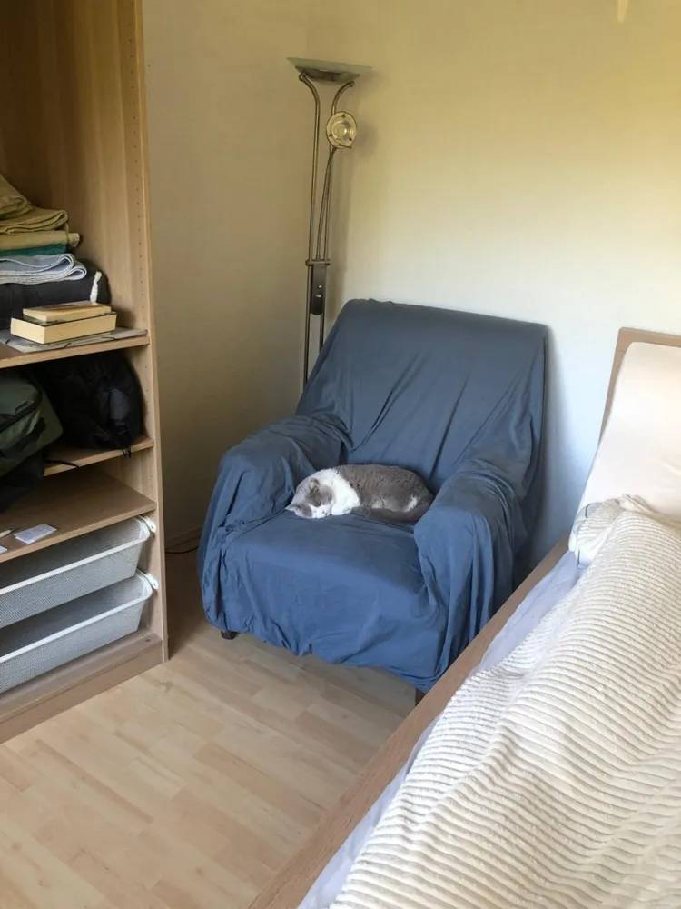 1 Zimmer Wohnung mit 18 m² in Aachen – Bild 2