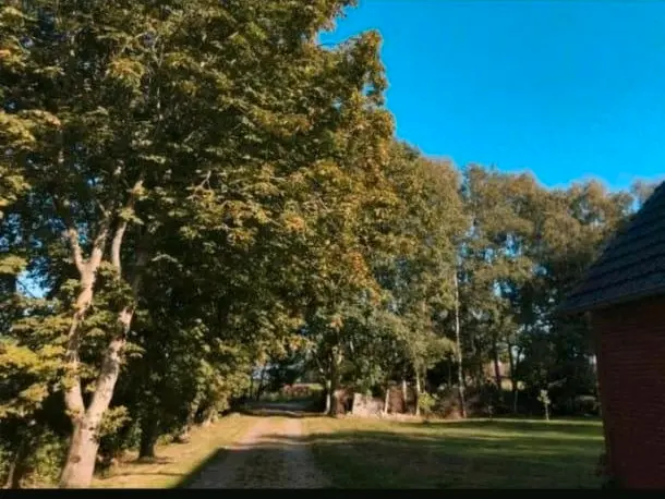 7 Zimmer Haus mit 250 m² in Papenburg – Bild 7