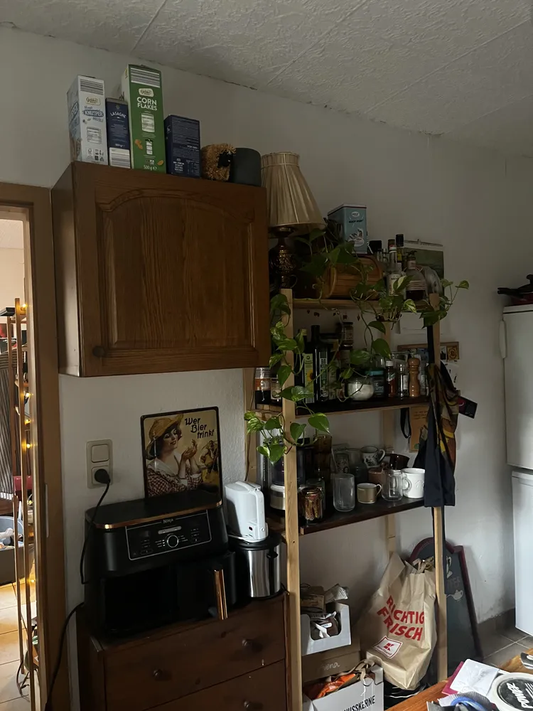2 Zimmer Wohnung mit 17 m² in Köln – Bild 6