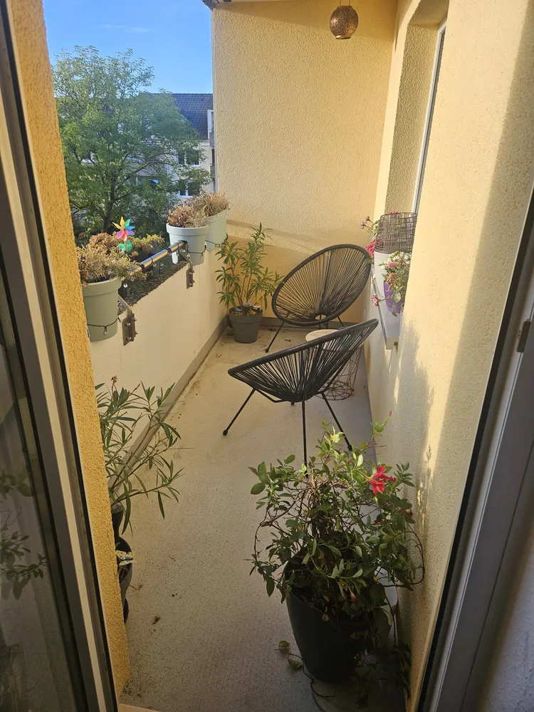 3 room apartment with 76 m² in Brunswick – Photo 7