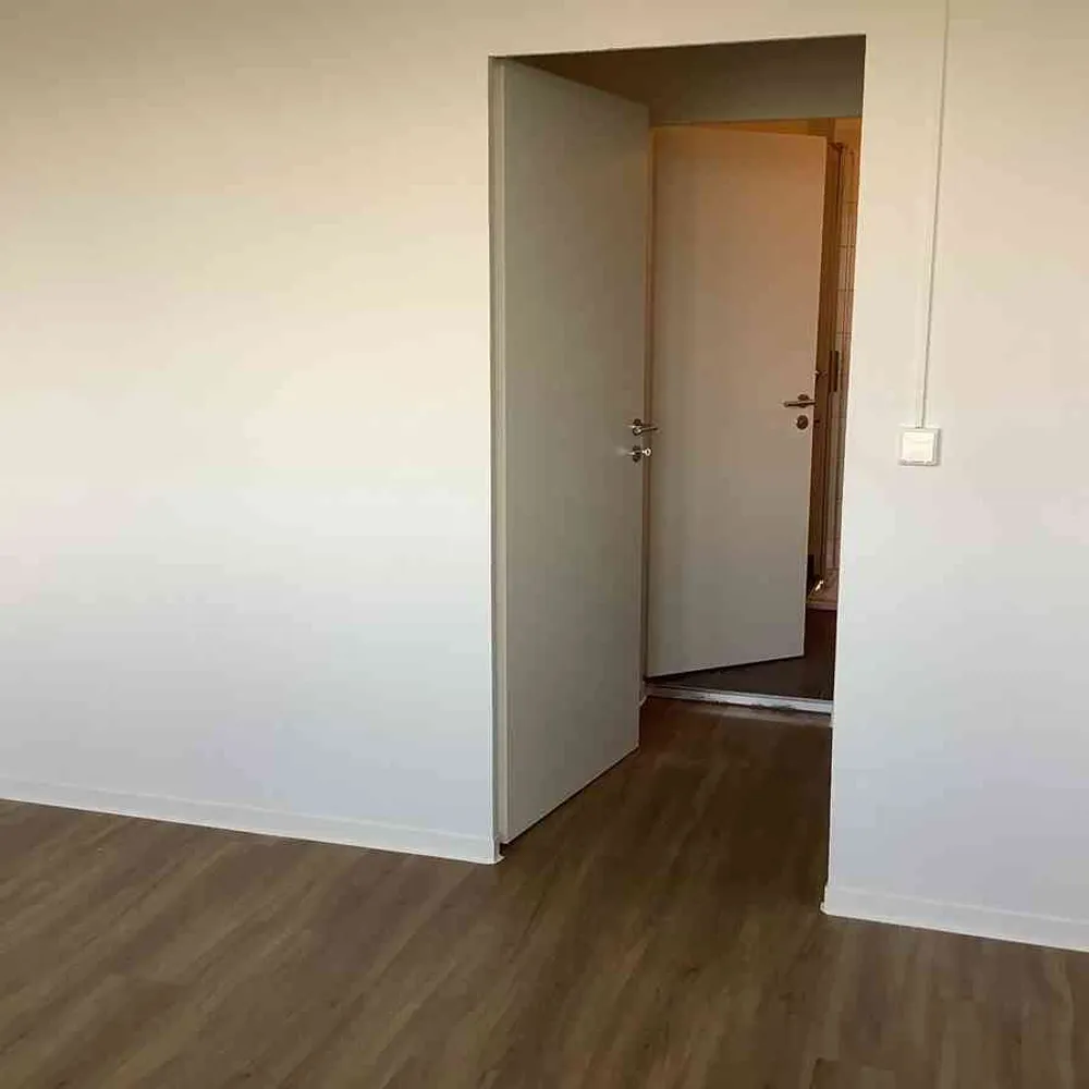 3 Zimmer Wohnung mit 80 m² in Dresden – Bild 5