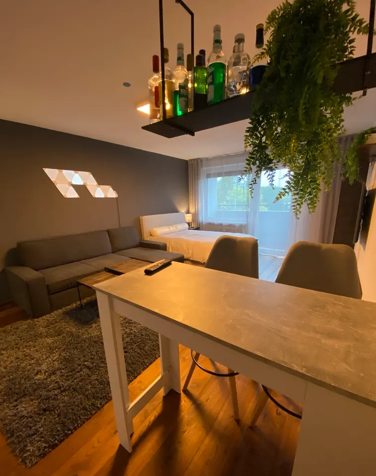 2 Zimmer Wohnung mit 32 m² in Regensburg – Bild 1