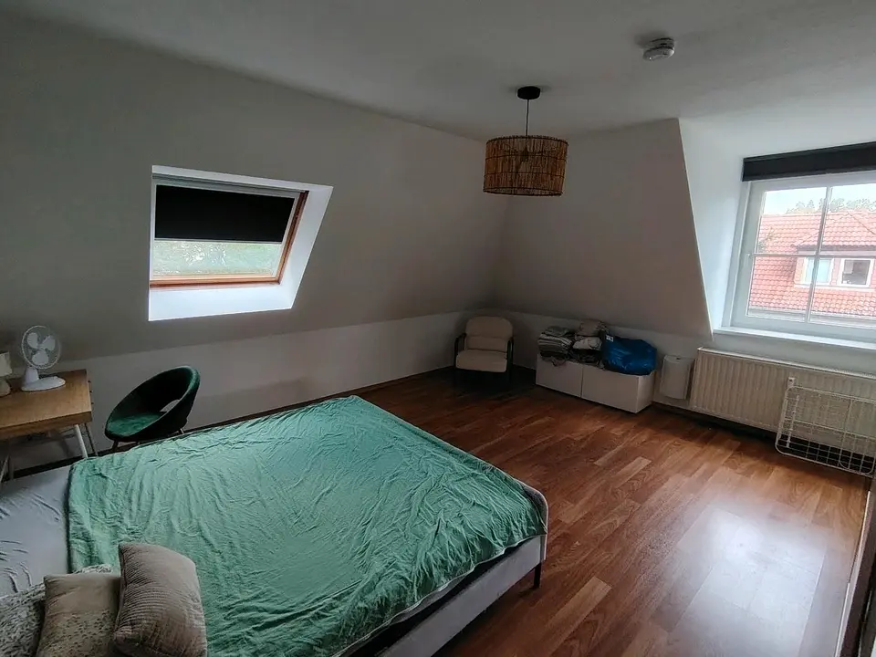 3 Zimmer Wohnung mit 90 m² in Dresden – Bild 3