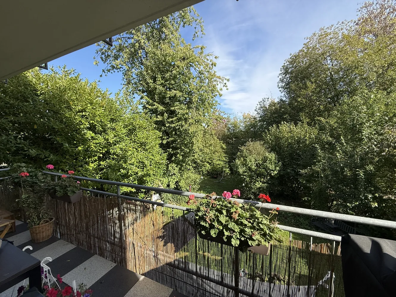 3 room apartment with 75 m² in Cologne – Photo 1