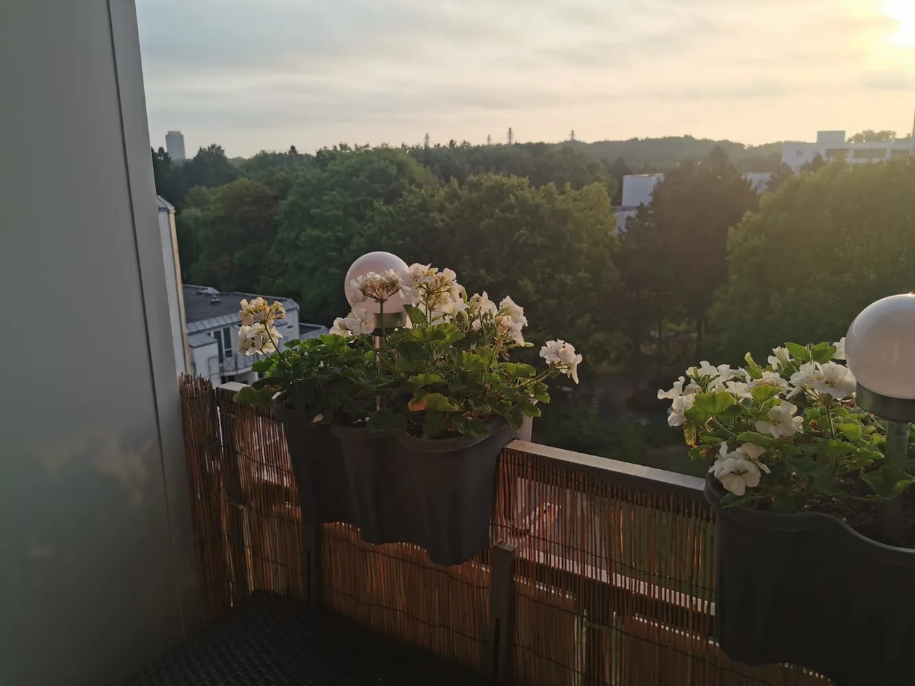 2 room apartment with 37 m² in Cologne – Photo 2