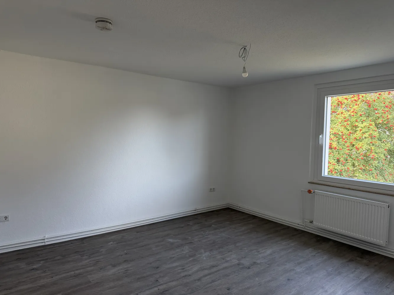 2 room apartment with 58 m² in Brunswick – Photo 4