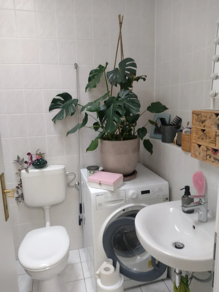 3 Zimmer Wohnung mit 84 m² in Leipzig – Bild 8