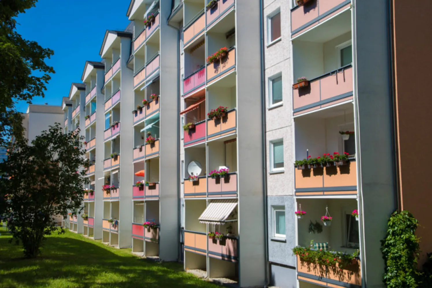 3 room apartment with 55 m² in Freiberg – Photo 4