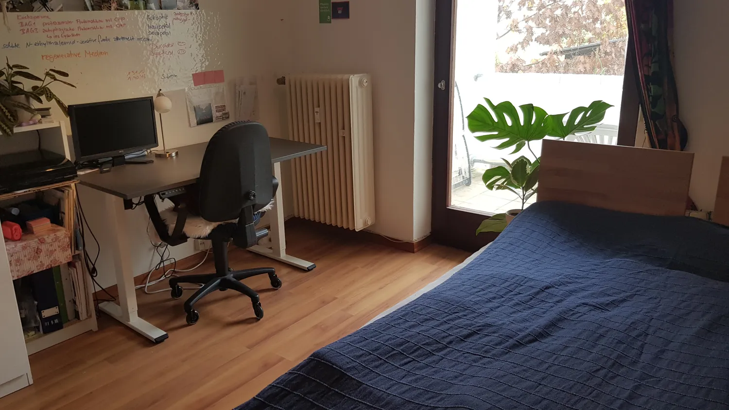 1 room apartment with 22 m² in Bonn – Photo 2