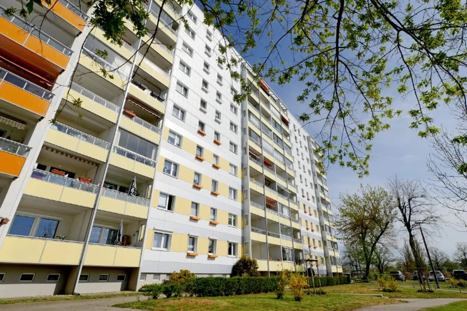 2 Zimmer Wohnung mit 50 m² in Magdeburg – Bild 6