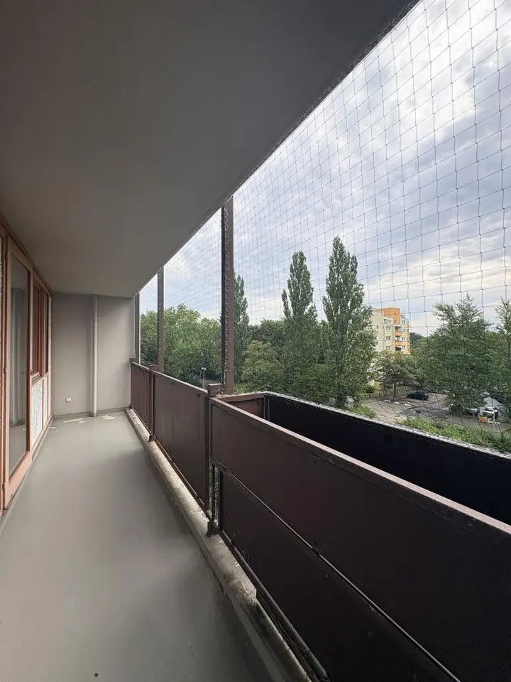 2 Zimmer Wohnung mit 53 m² in Braunschweig – Bild 4