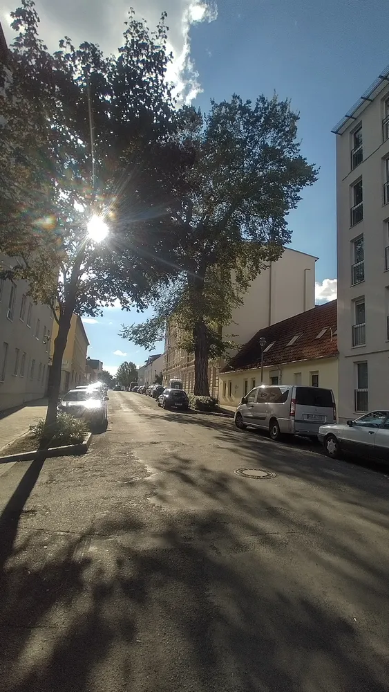 1 room apartment with 31 m² in Magdeburg – Photo 8