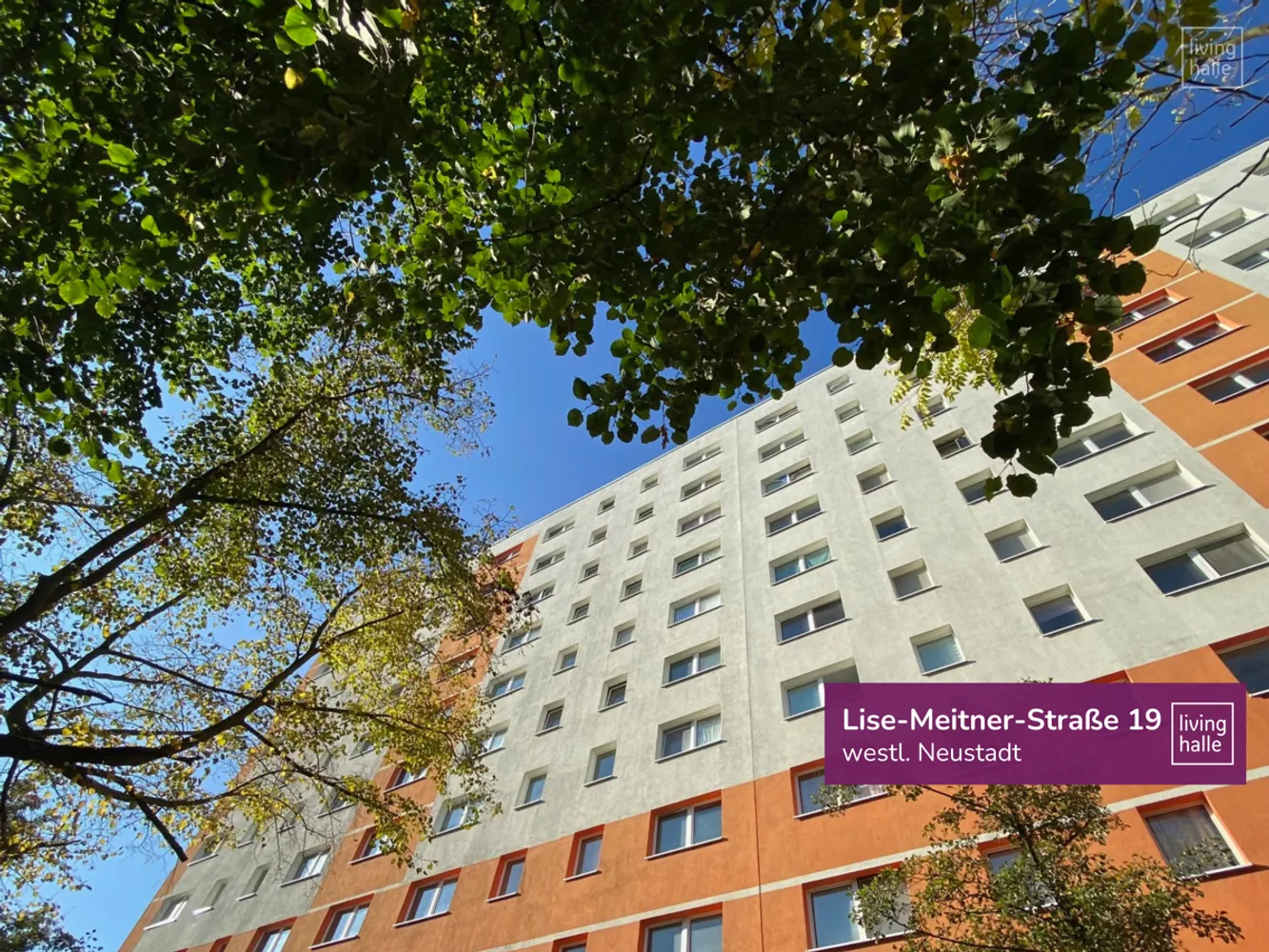 2 Zimmer Wohnung mit 49 m² in Halle (Saale) – Bild 3