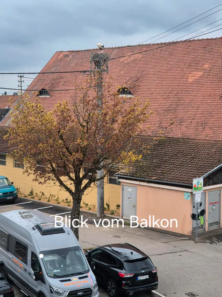 WG-Zimmer mit 23 m² in Lahr/Schwarzwald – Bild 7