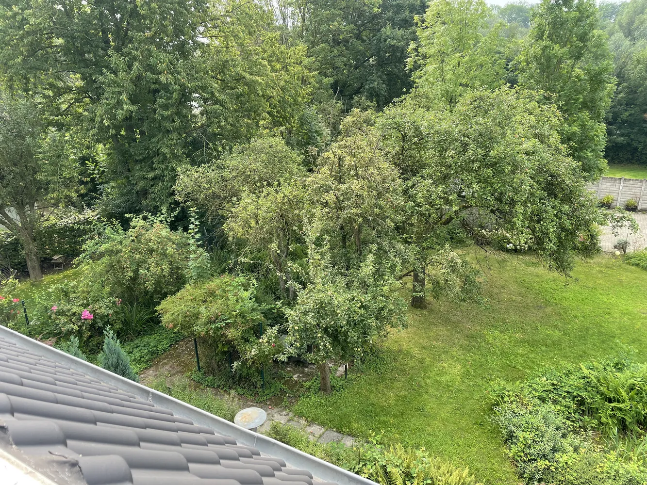 3 Zimmer Wohnung mit 70 m² in Bochum – Bild 2