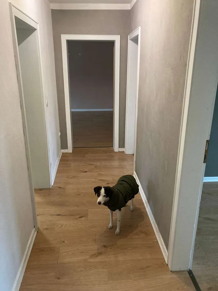 3 Zimmer Wohnung mit 88 m² in Mülheim an der Ruhr – Bild 5