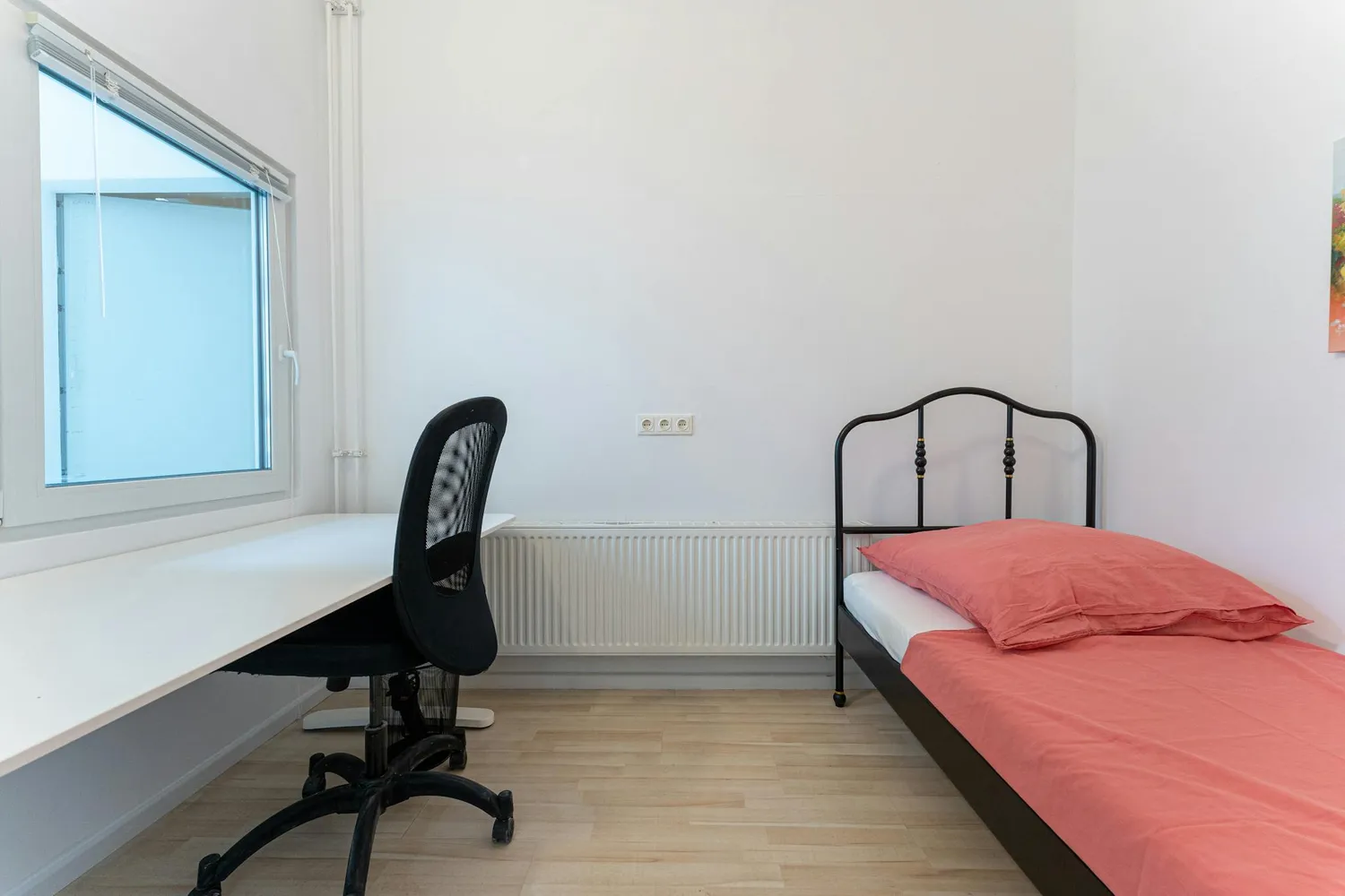WG-Zimmer in Berlin – Bild 2