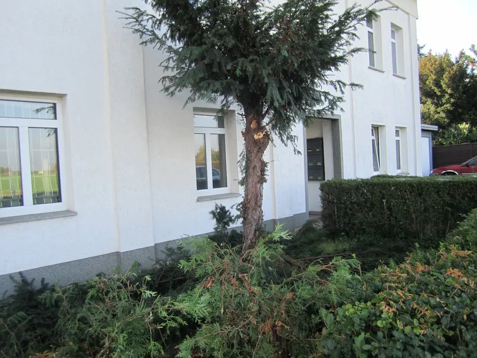 2 Zimmer Wohnung mit 39 m² in Euskirchen – Bild 4