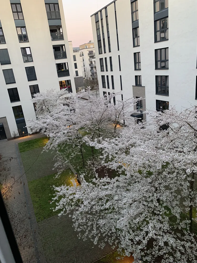 3 Zimmer Wohnung mit 98 m² in Frankfurt am Main – Bild 10