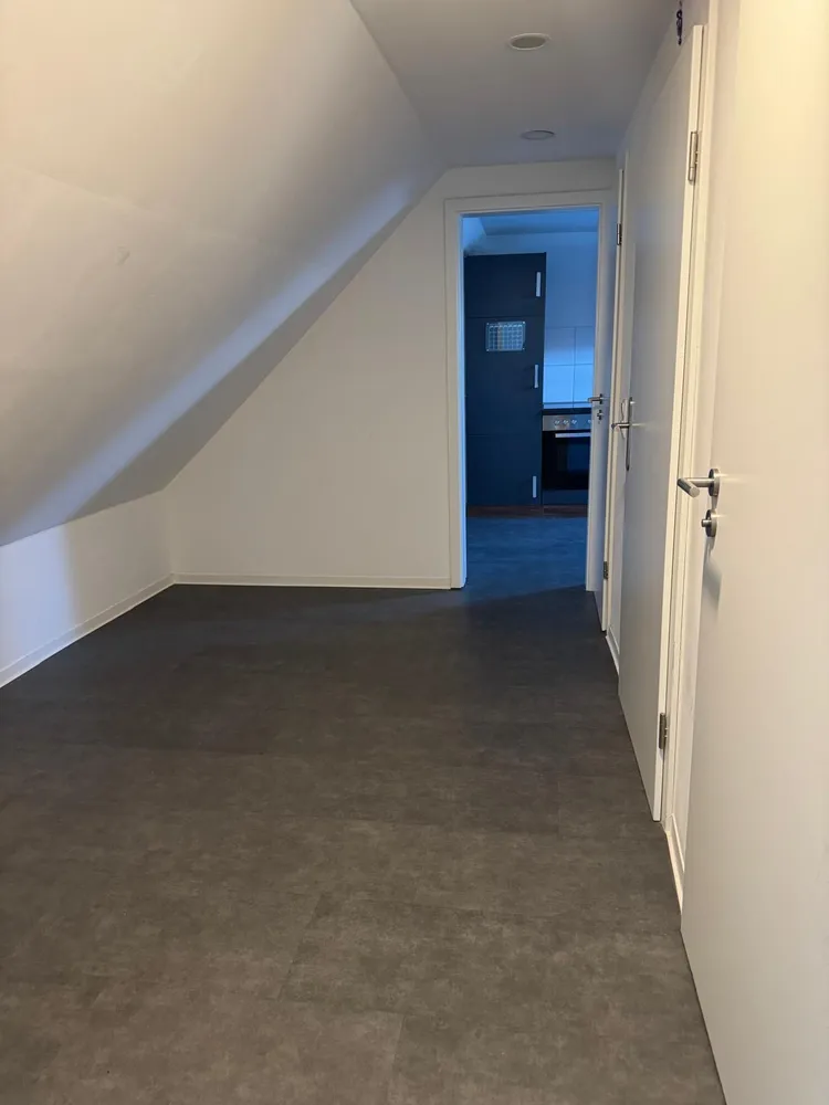 2 room apartment with 45 m² in Ludwigshafen am Rhein – Photo 2