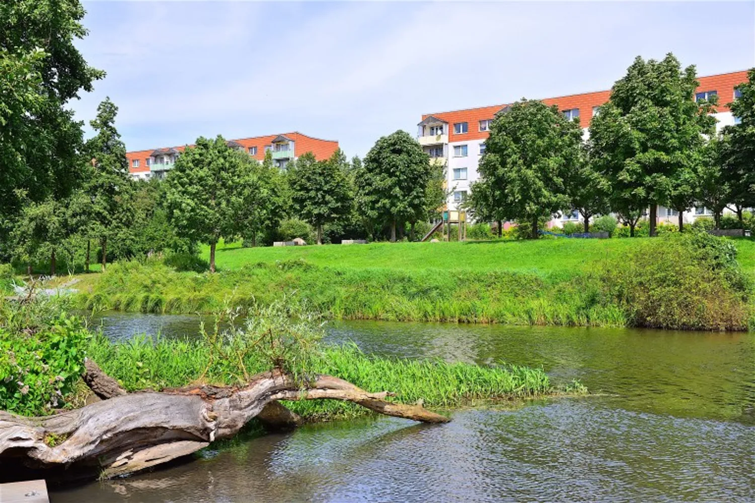 4 Zimmer Wohnung mit 72 m² in Eberswalde – Bild 1