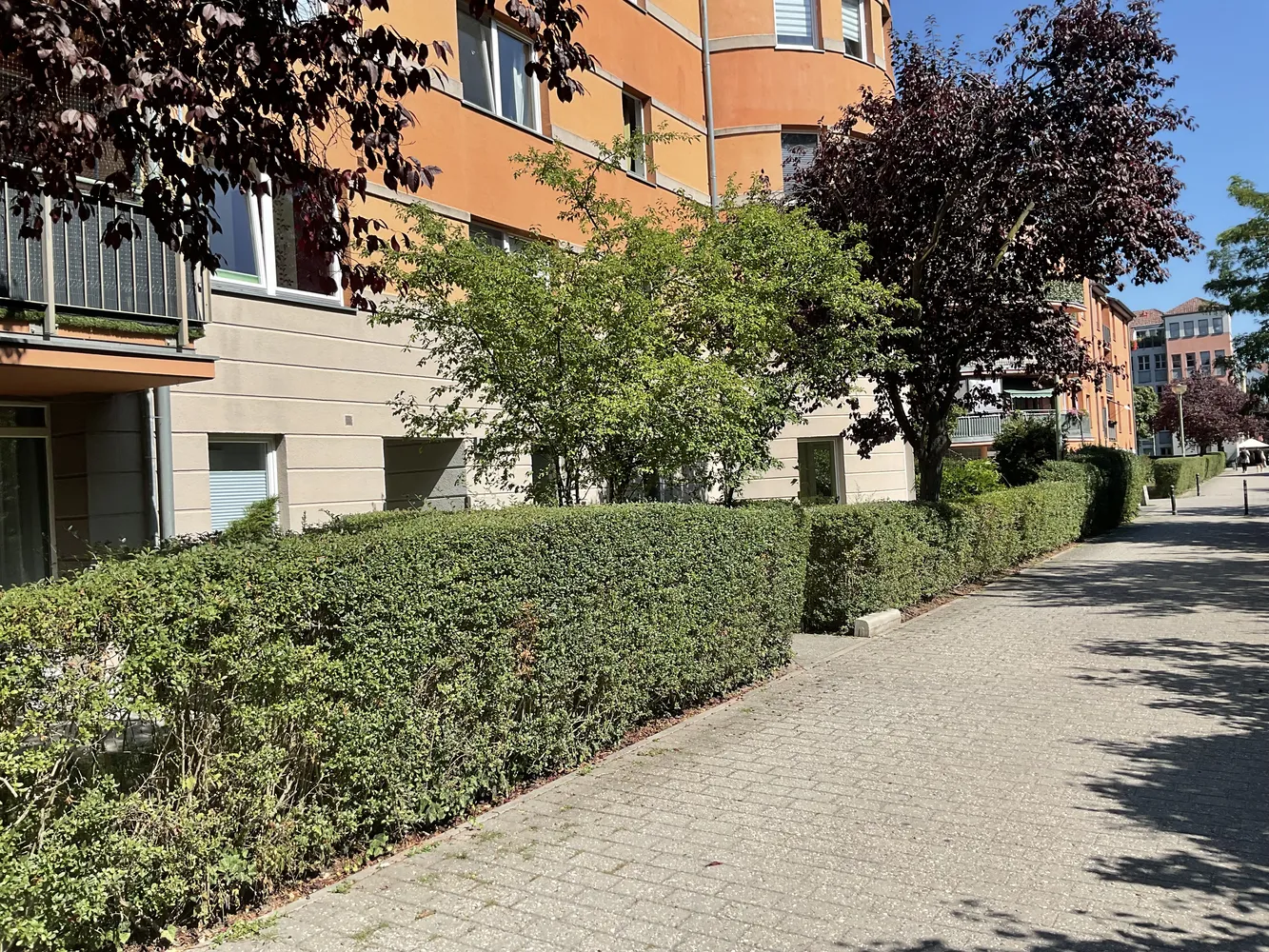 3 room apartment with 80 m² in Potsdam – Photo 1