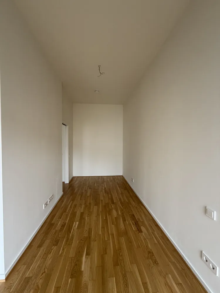 2 room apartment with 46 m² in Dresden – Photo 2