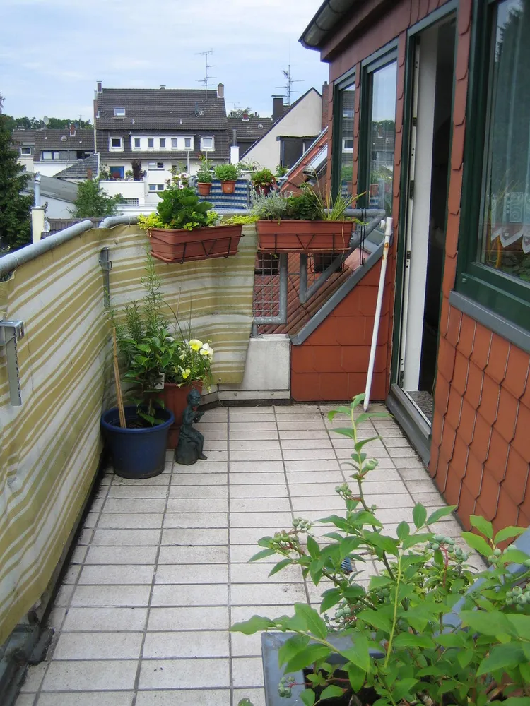 2 room apartment with 57 m² in Cologne – Photo 4