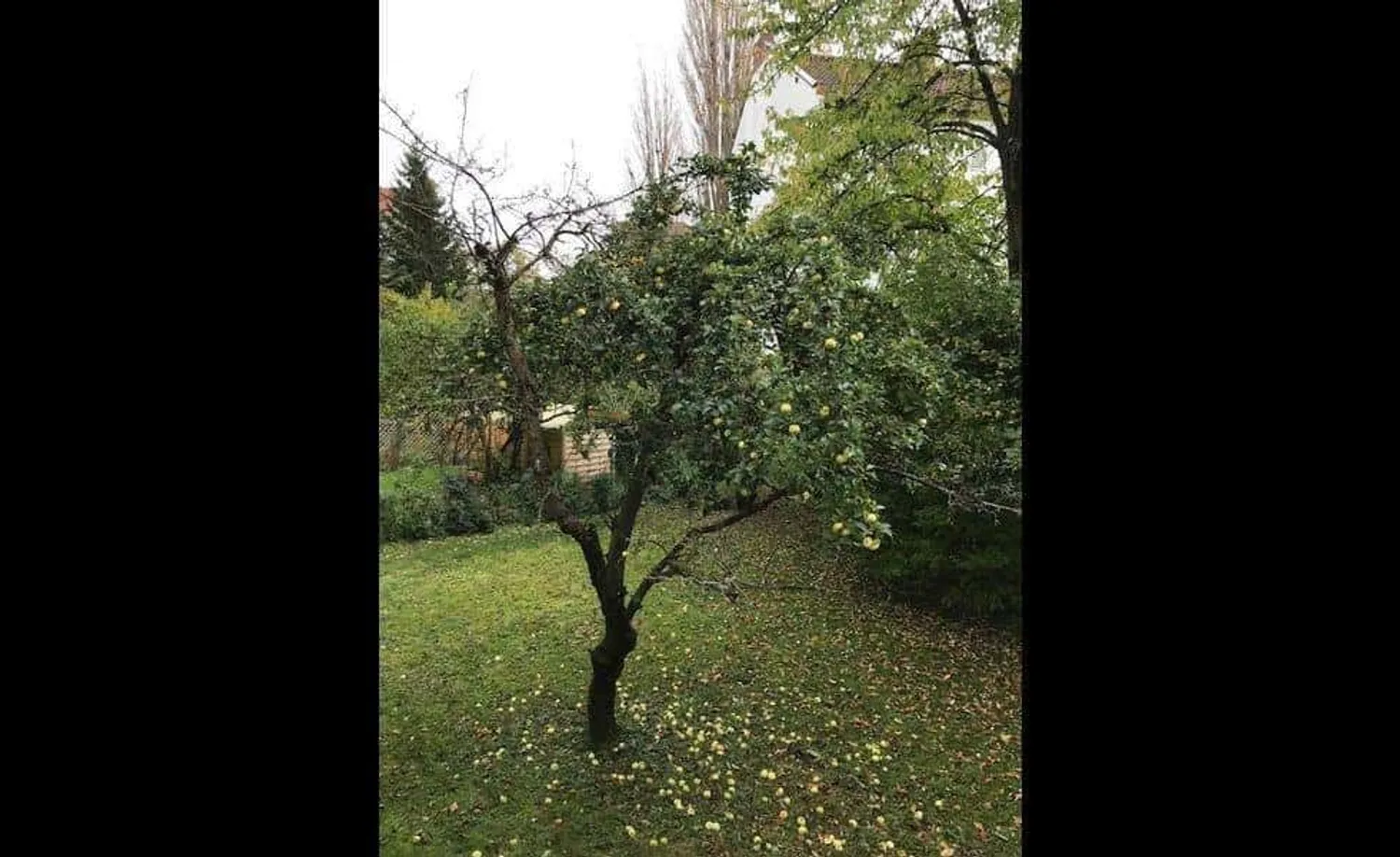 WG-Zimmer in Berlin – Bild 4