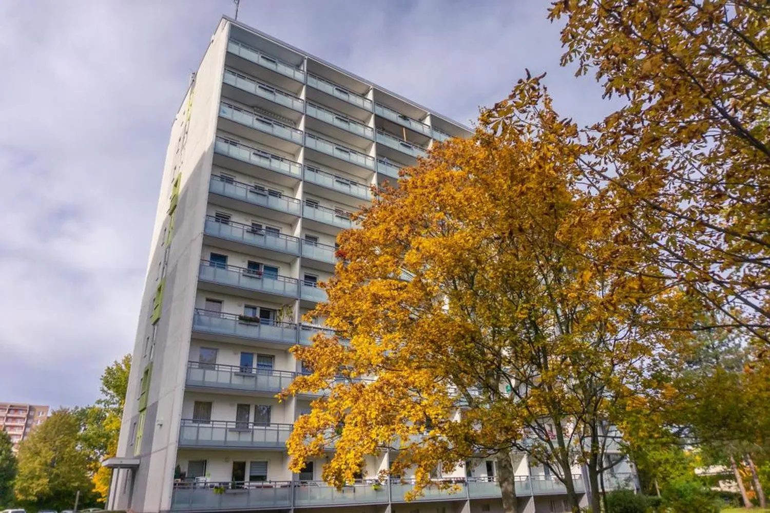 3 room apartment with 71 m² in Chemnitz – Photo 5