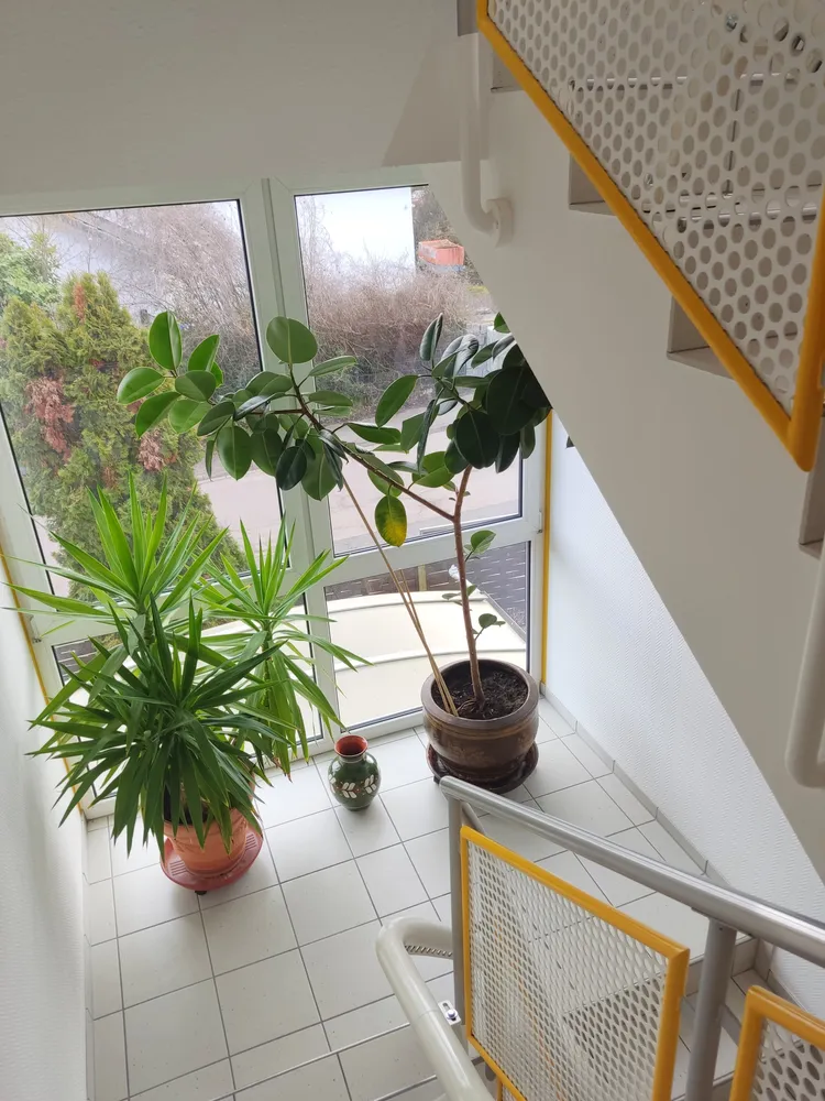 2 Zimmer Wohnung mit 73 m² in Bad Kreuznach – Bild 9