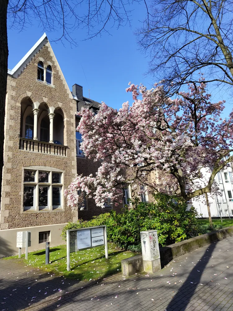 2 Zimmer Wohnung mit 45 m² in Bonn – Bild 1