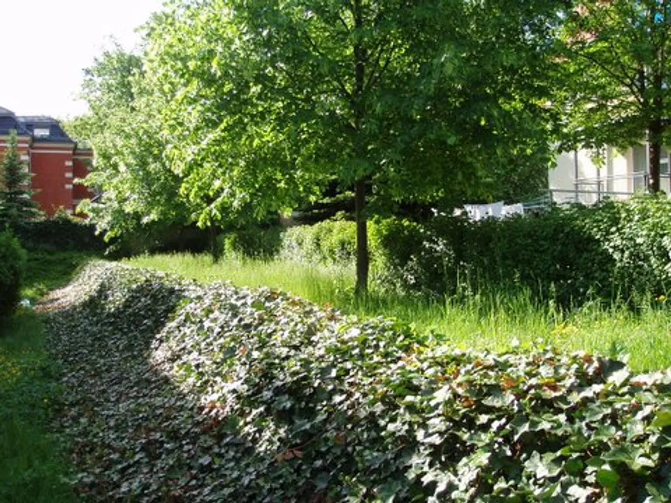 3 room apartment with 67 m² in Dresden – Photo 2