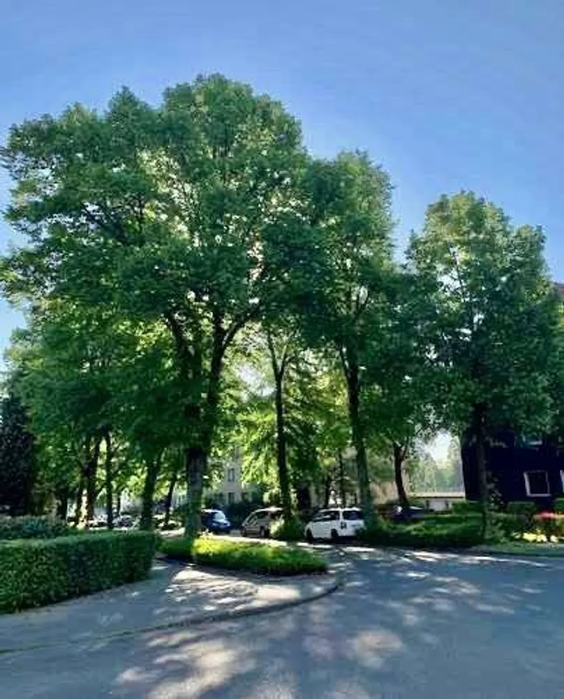2 Zimmer Wohnung mit 51 m² in Essen – Bild 9