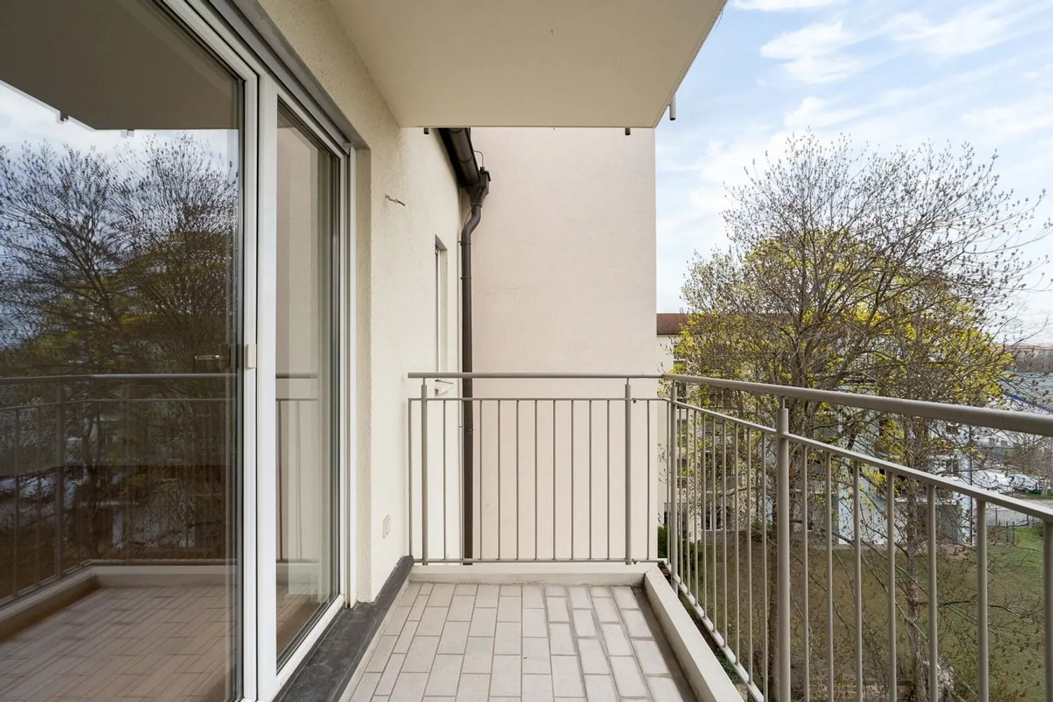 3 room apartment with 80 m² in Dresden – Photo 3