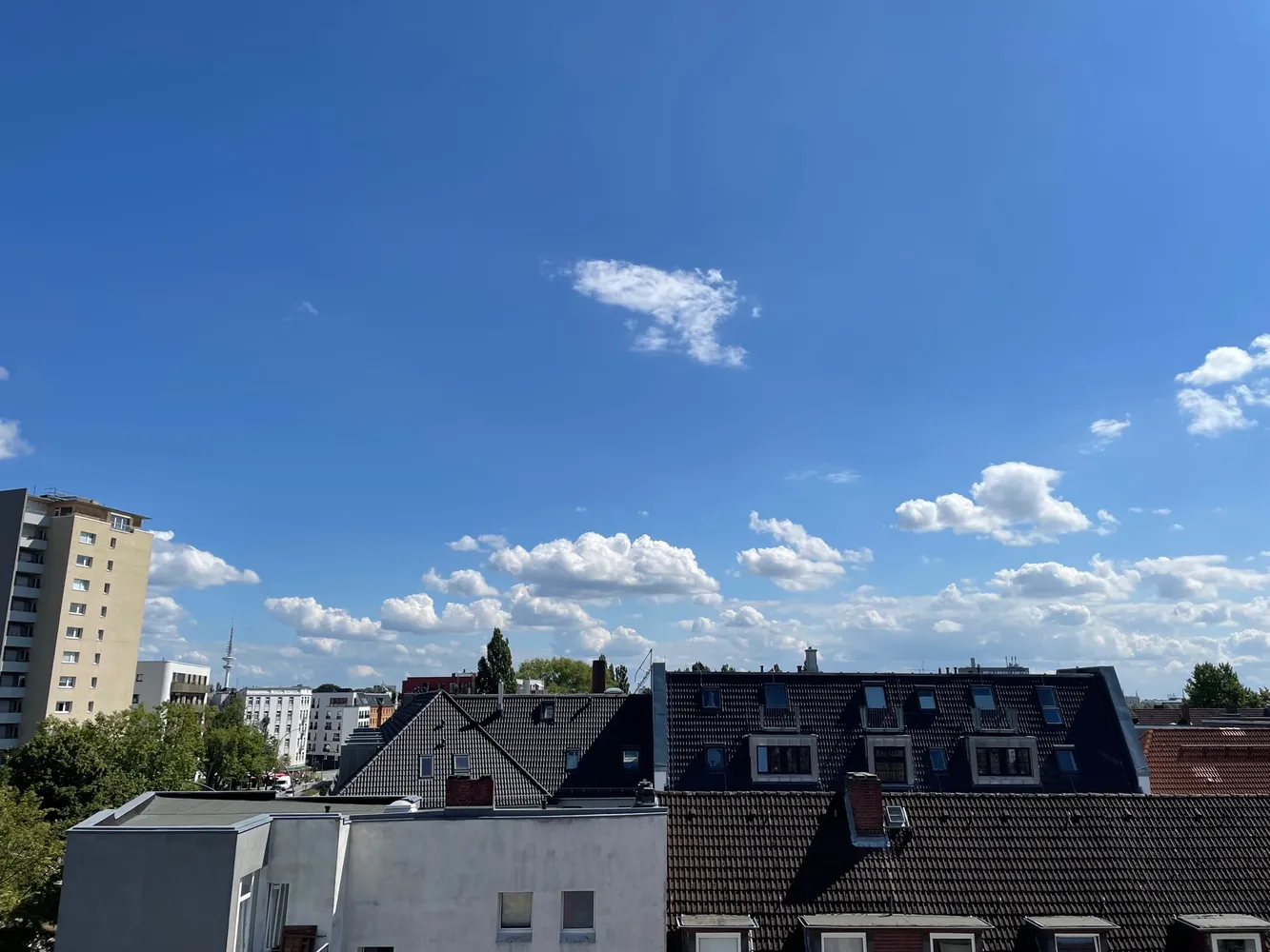 2 Zimmer Wohnung mit 66 m² in Hamburg – Bild 7