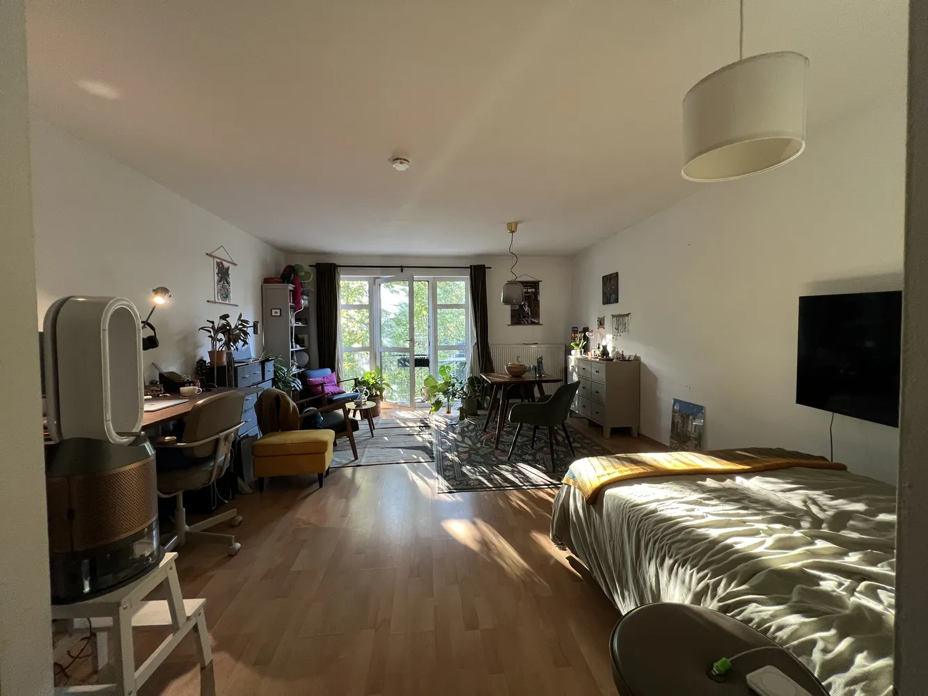 1 room apartment with 38 m² in Dresden – Photo 1