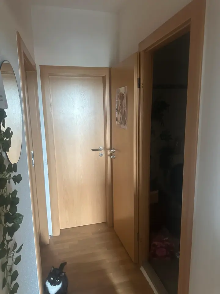2 Zimmer Wohnung mit 45 m² in Delitzsch – Bild 3