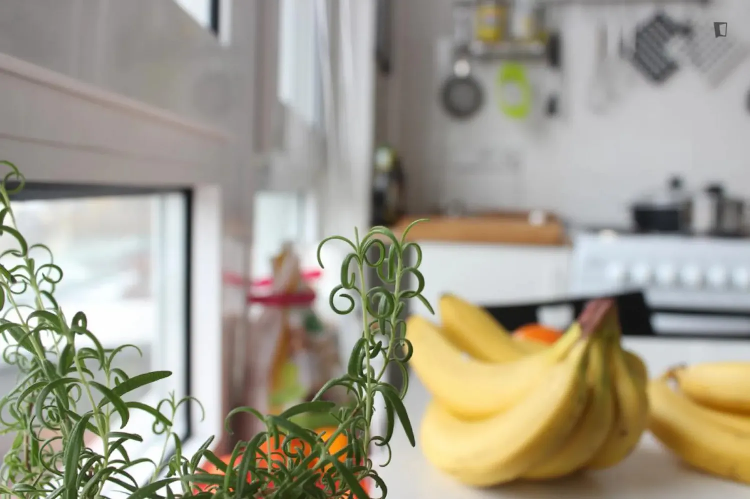 Shared room with 9 m² in Berlin – Photo 3
