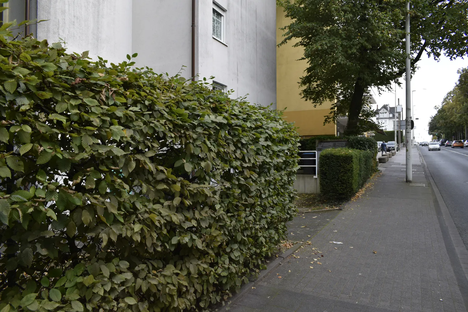 3 Zimmer Wohnung mit 78 m² in Solingen – Bild 2