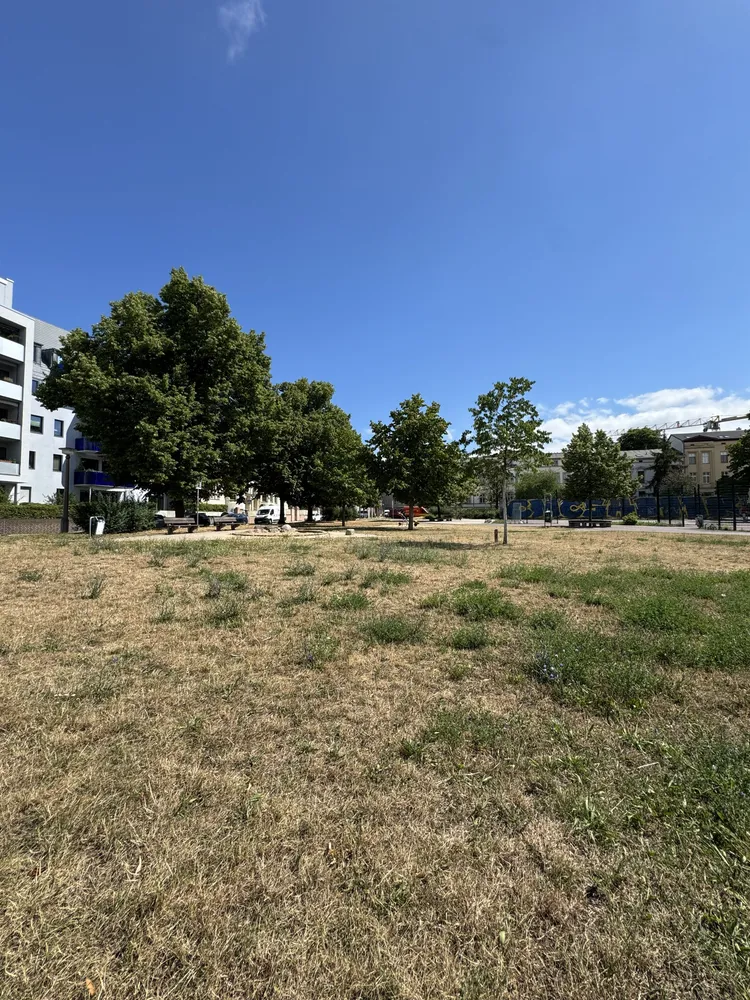 5 Zimmer Wohnung mit 128 m² in Halle (Saale) – Bild 9