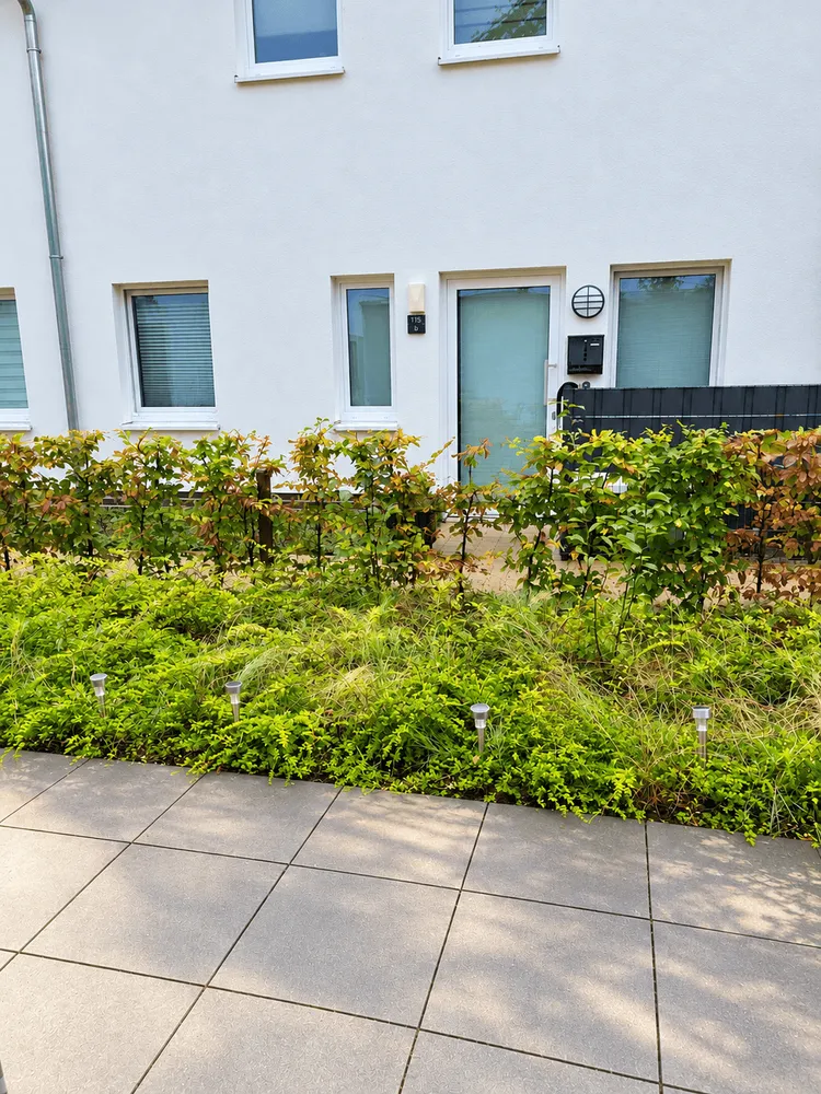 2 Zimmer Wohnung mit 54 m² in Oldenburg – Bild 4