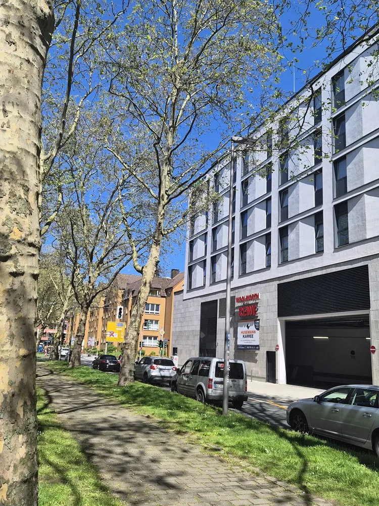 3 Zimmer Wohnung mit 66 m² in Bochum – Bild 2