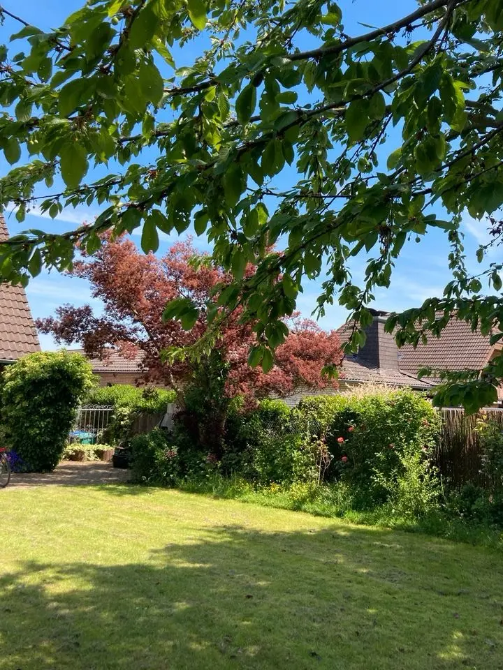 WG-Zimmer mit 105 m² in Düren – Bild 4