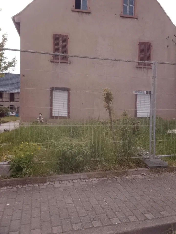 20 Zimmer Wohnung mit 500 m² in Grimma – Bild 4